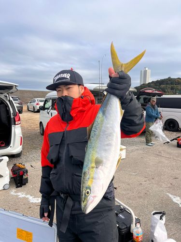 知多半島野池群