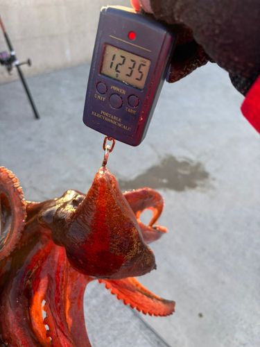 金沢水際線緑地（福浦岸壁）