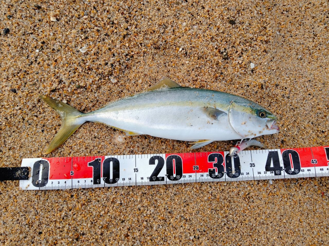 SHIMANO 20ルナミス S110Mの最安値・インプレ・釣果 | 本音の口コミが