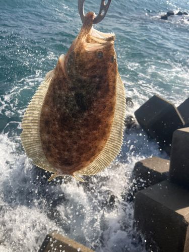 新舞子海岸（いわき）