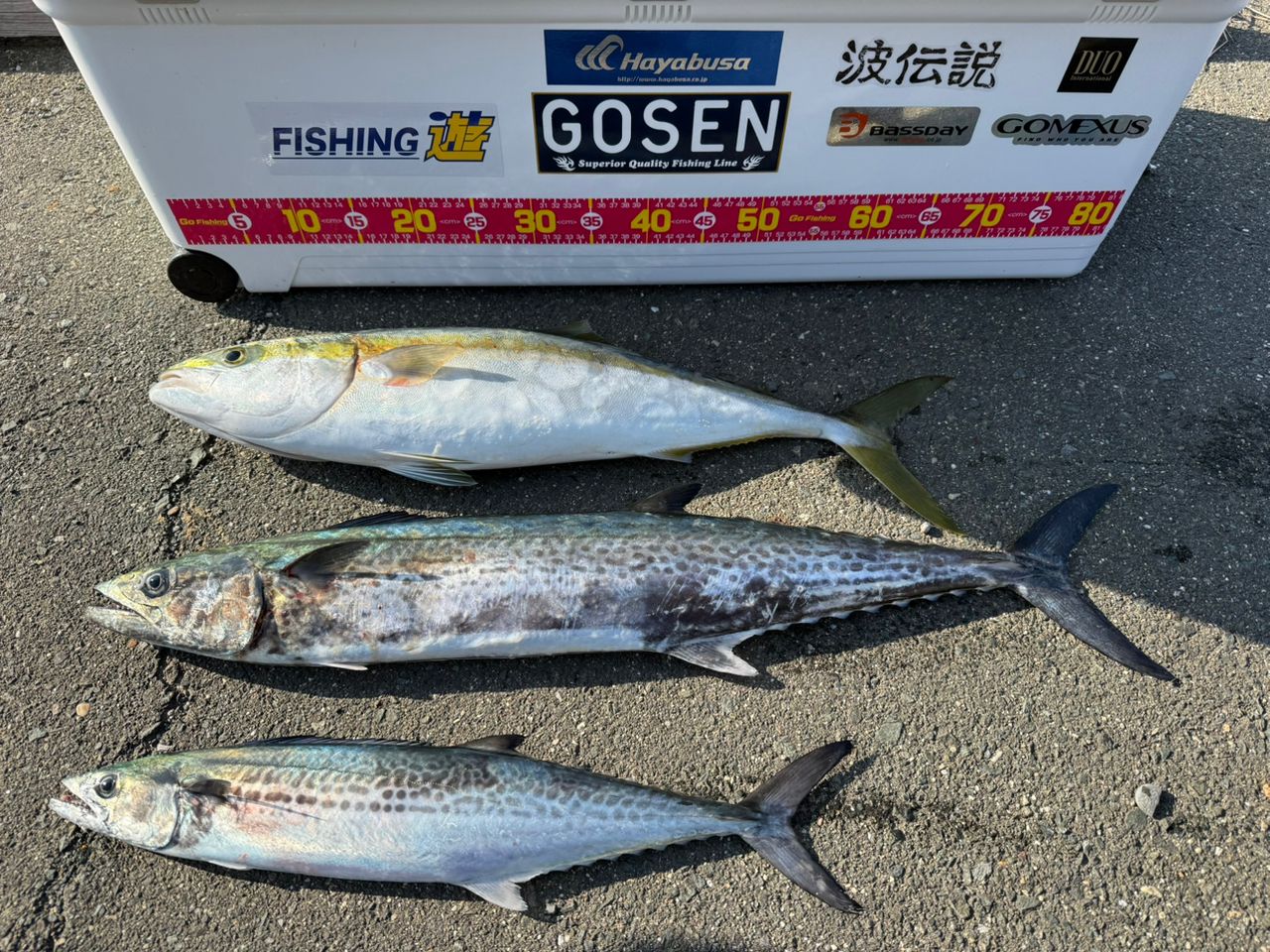 SHIMANO 23グラップラー タイプ ブレード S70-0の最安値・インプレ