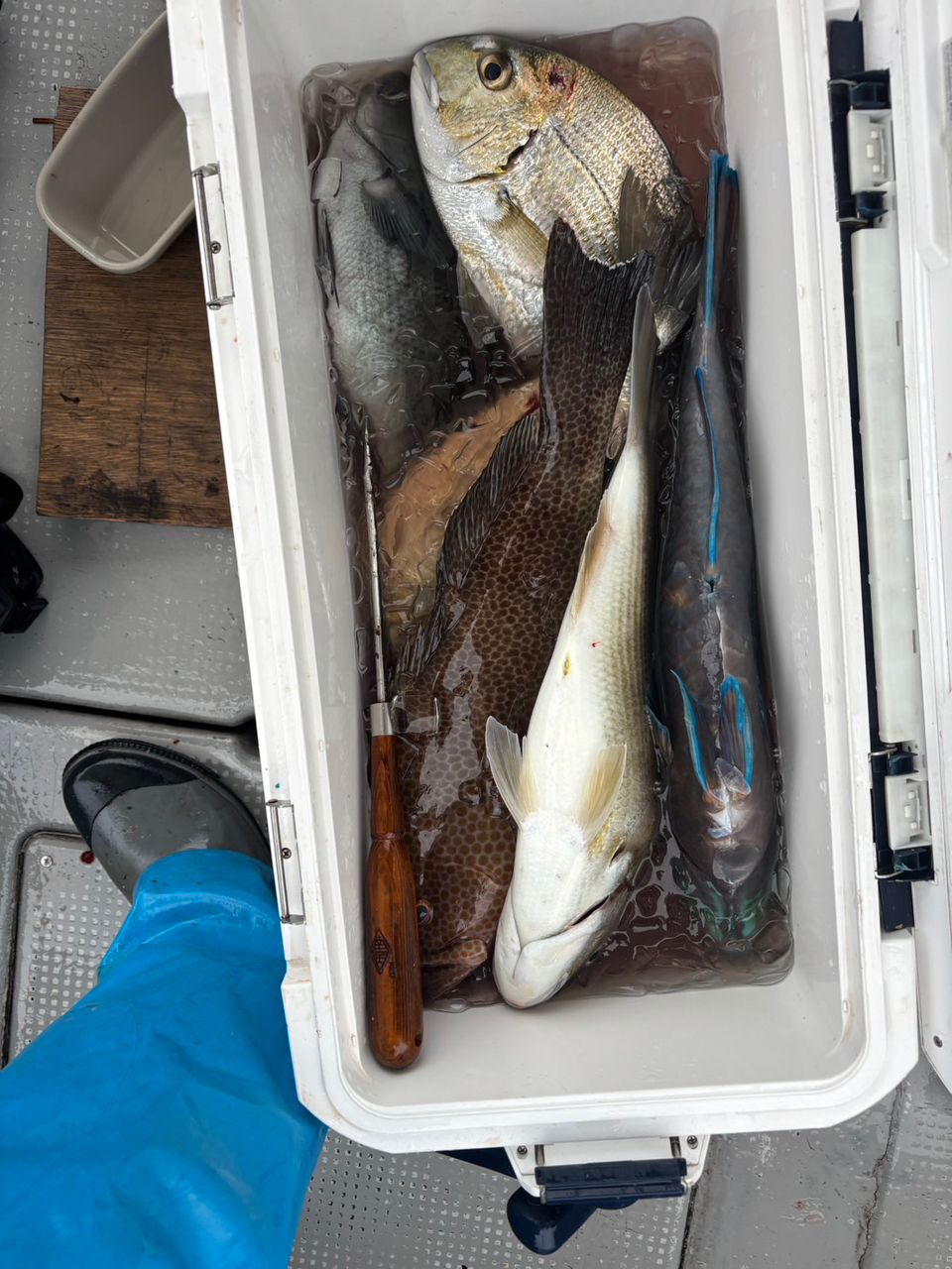 田畑良朗@なつき丸さんの釣果 2枚目の画像