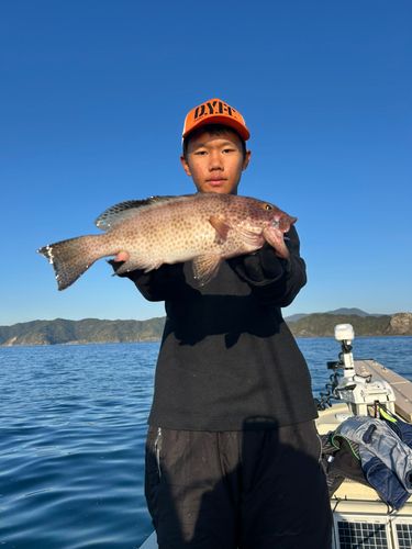 オオモンハタの釣果