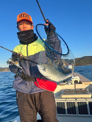 オナガグレの釣果