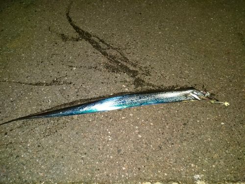 東京湾（アクアライン〜富津）