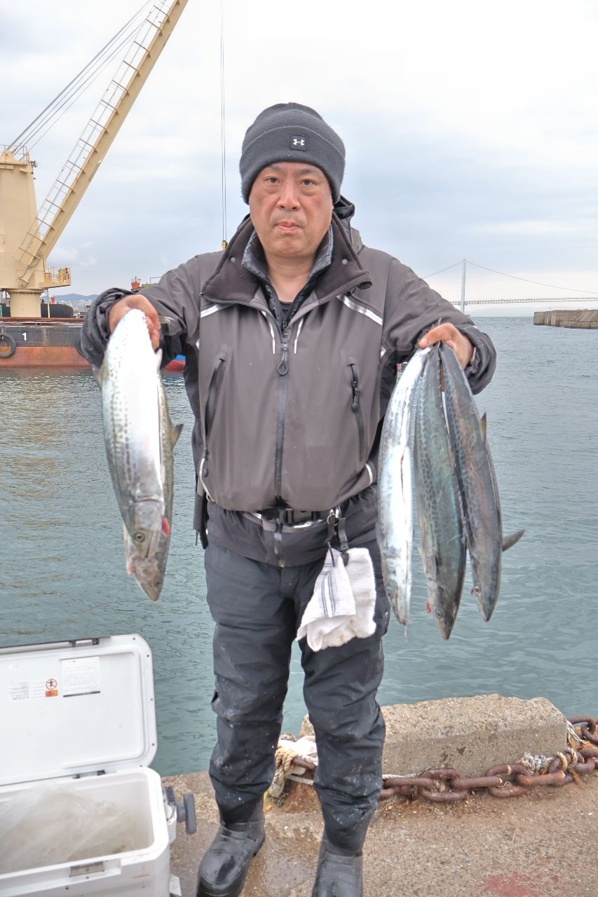 釣り船魚英@兵庫県明石港さんの釣果 1枚目の画像