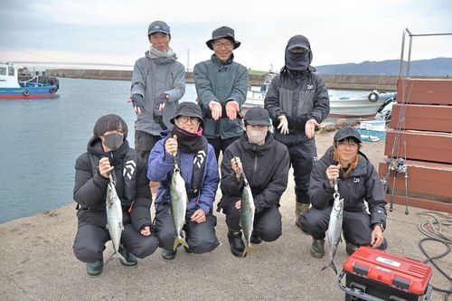 サゴシの釣果