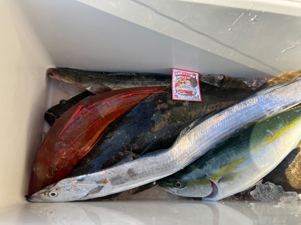 まろんぺーすとさんの釣果 1枚目の画像