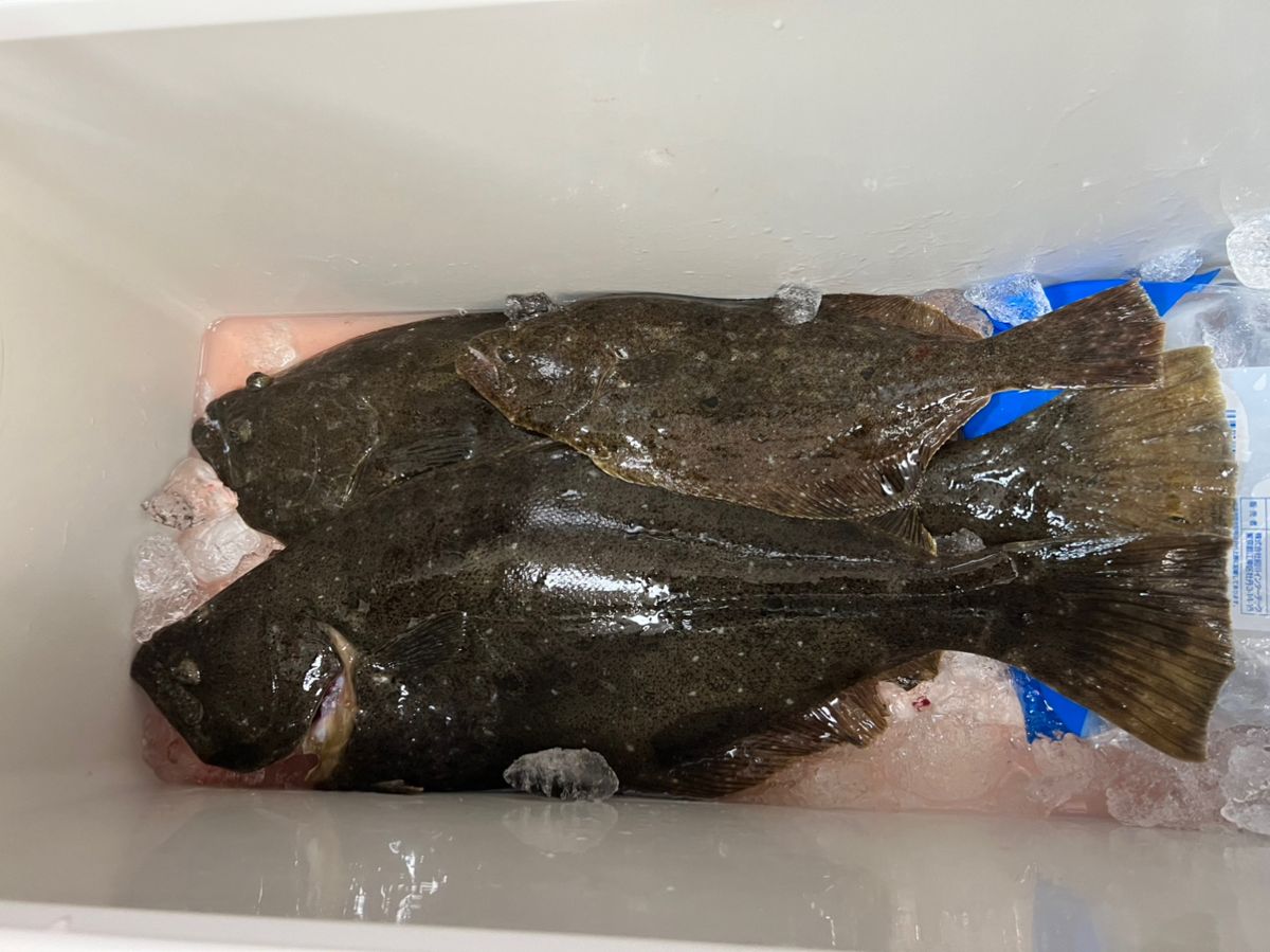 まろんぺーすとさんの釣果 3枚目の画像