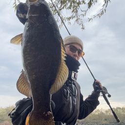 スモールマウスバス