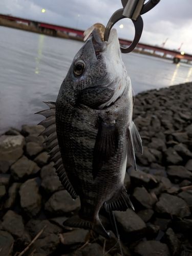 大野川（石川）