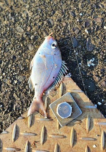 鞠山海遊パーク