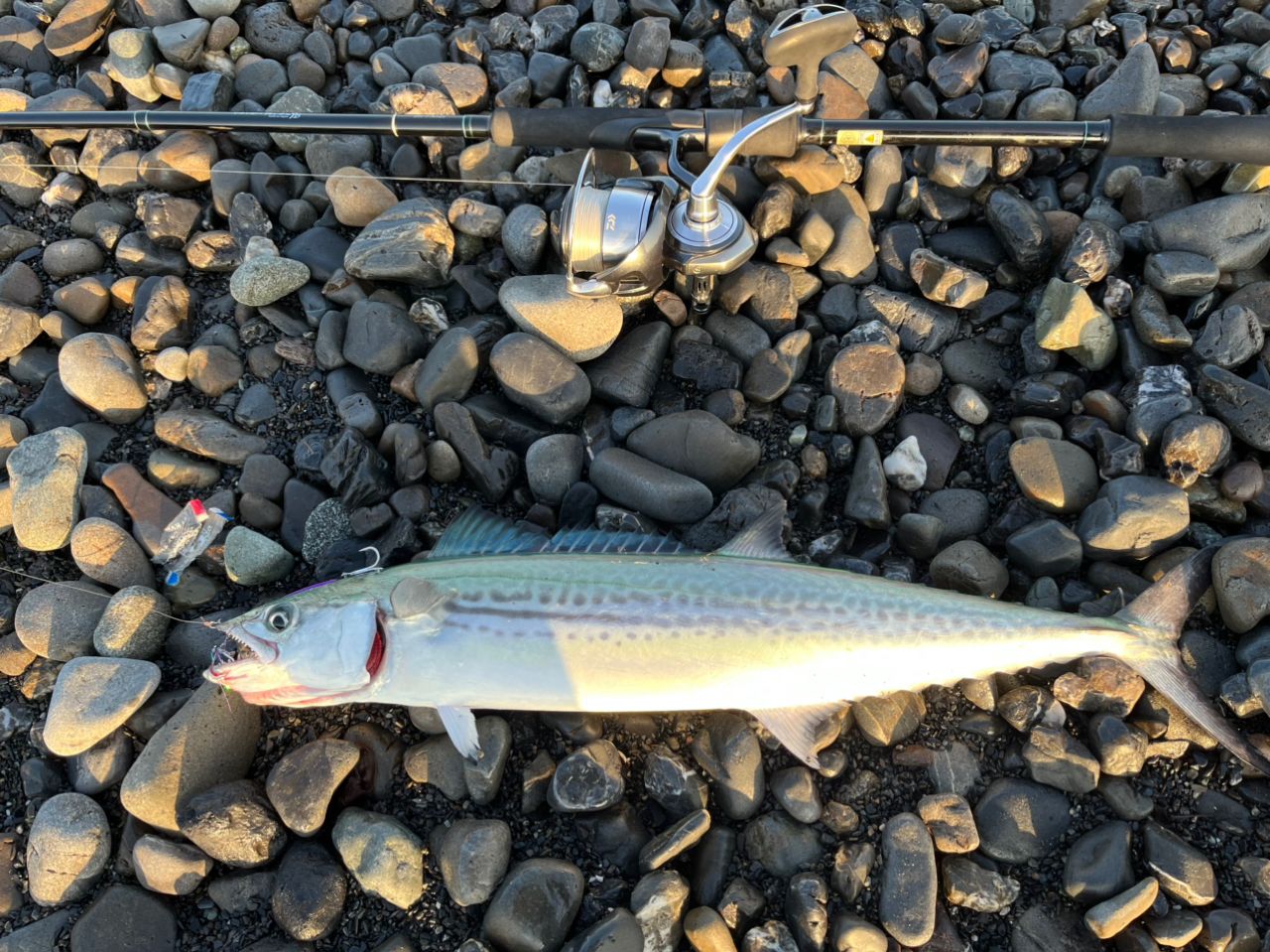 YAMAGA Blanks アーリー・フォーシーバス 97MMHの最安値・インプレ