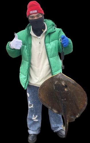 アカエイの釣果