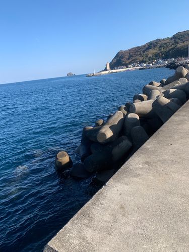 オオモンハタの釣果