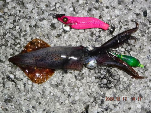 小名浜港アクアマリンふくしま周辺