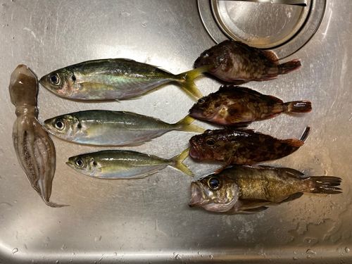 本牧海づり施設