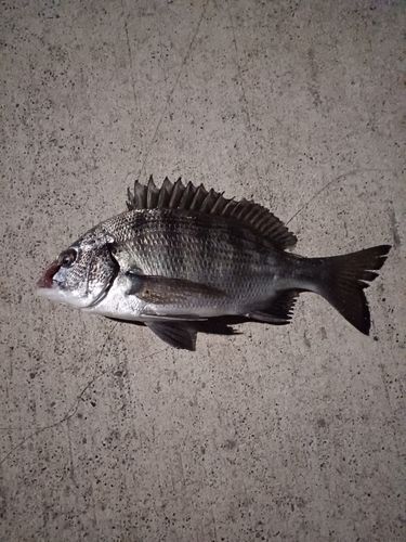 金沢水際線緑地（福浦岸壁）