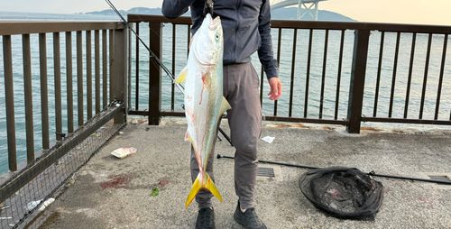 アジュール舞子