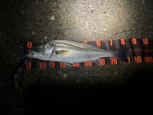 塩屋海岸（石川）