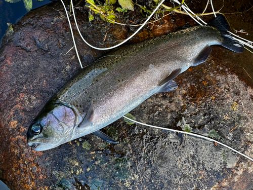 平谷湖のフィッシングスポット