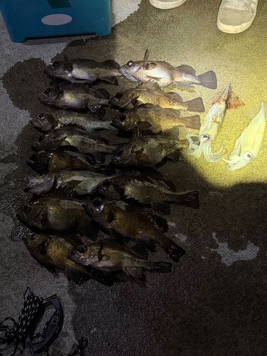 三陸海岸（岩手）