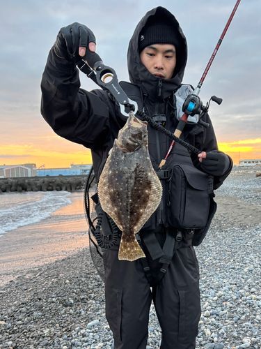 ヒラメの釣果