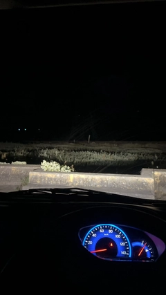 シタビラメの釣果