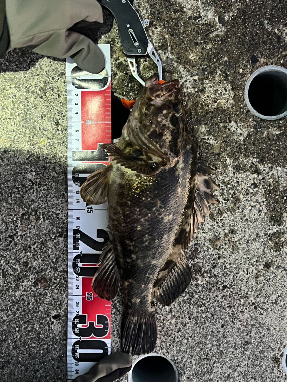 AbuGarcia クロスフィールド XRFC-654ML-BF-MBの最安値・インプレ