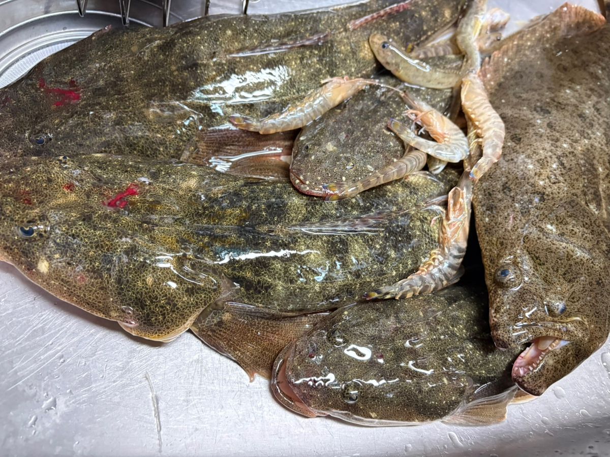 アイコンチキンさんの釣果 2枚目の画像