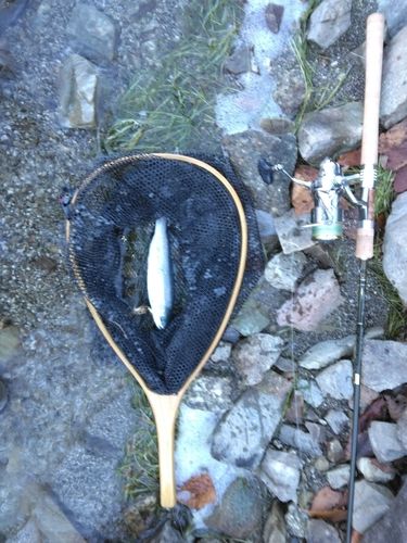 長崎（本栖湖）