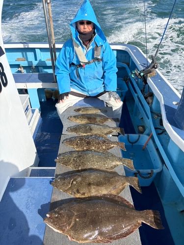 ヒラメの釣果