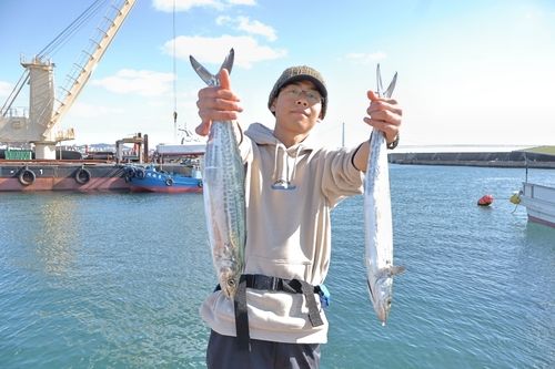 ハマチの釣果