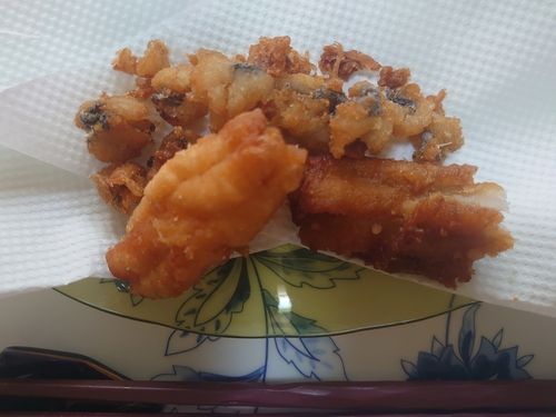 タチウオの釣果