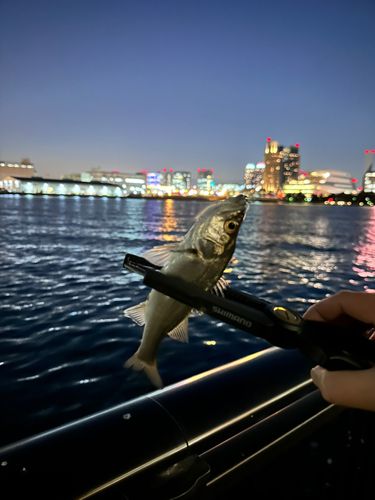 有明西ふ頭公園