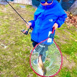 ブルックトラウト