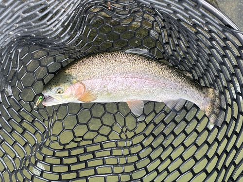 東山湖フィッシングエリア