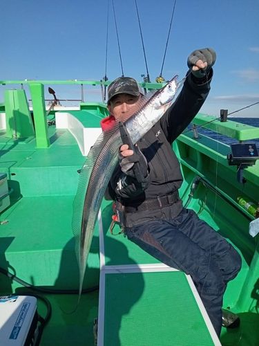 タチウオの釣果