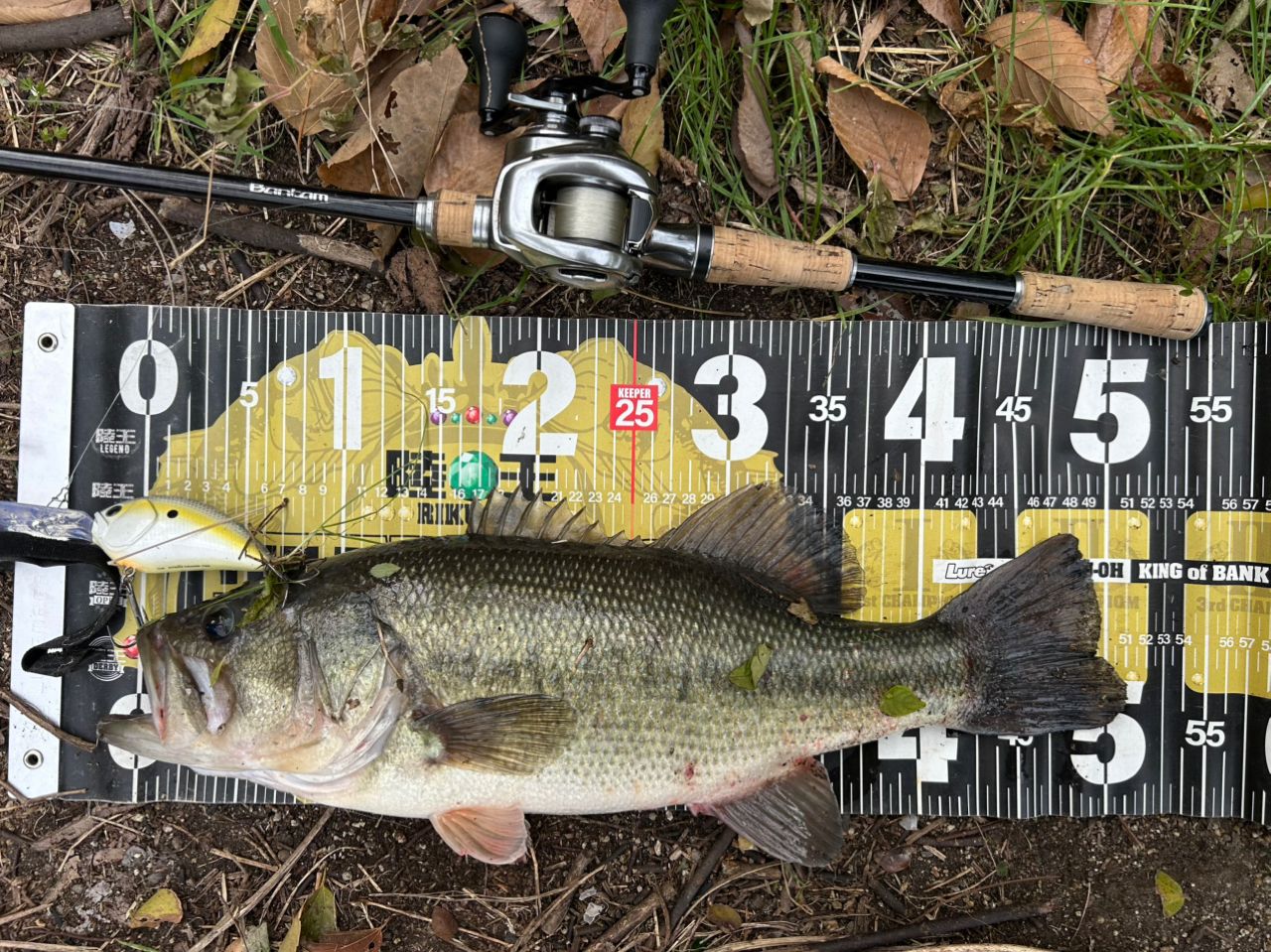 SHIMANO 18バンタム 172H-FRの最安値・インプレ・釣果 | 本音の口コミ