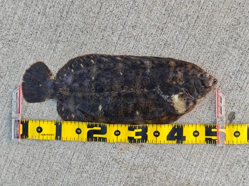 船越湾（岩手）