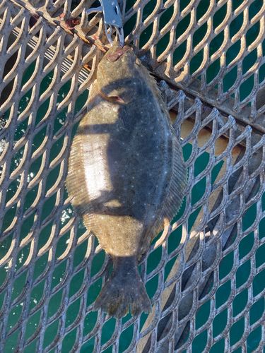 とっとパーク小島