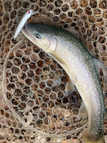 フィッシャーリゾート しょうばら