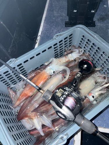 船越湾（岩手）