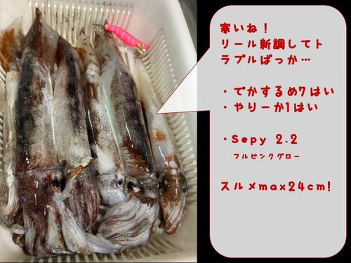 三陸海岸（岩手）