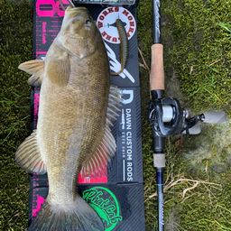 スモールマウスバス