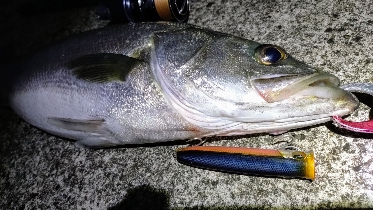 YAMAGA Blanks バリスティックヒラ TZ ナノ 11MHの最安値・インプレ