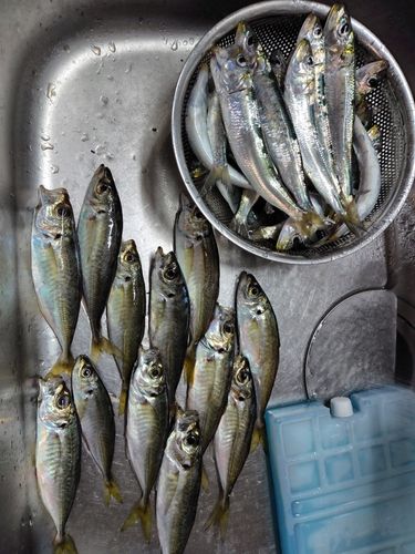 小名浜港アクアマリンふくしま周辺