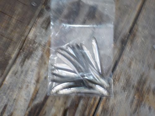 ワカサギの釣果