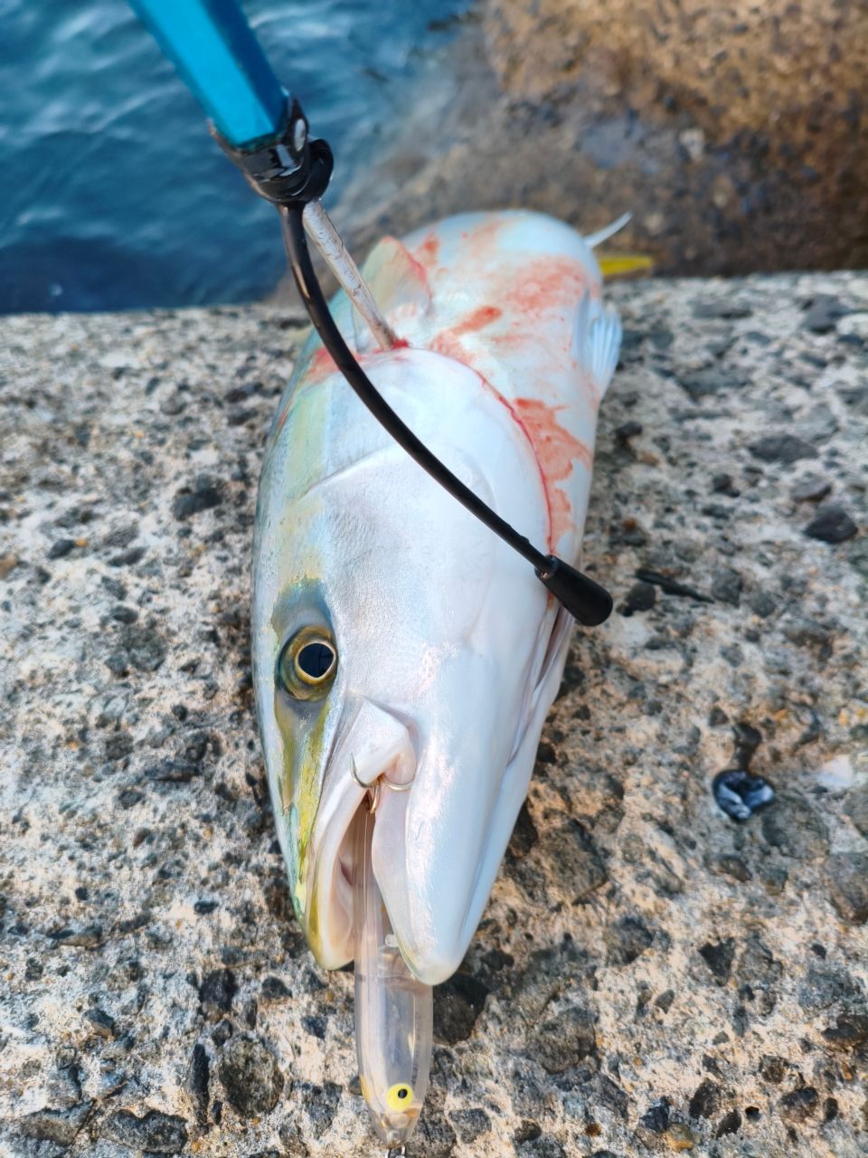 SHIMANO 20コルトスナイパー XR S106M/PSの最安値・インプレ・釣果