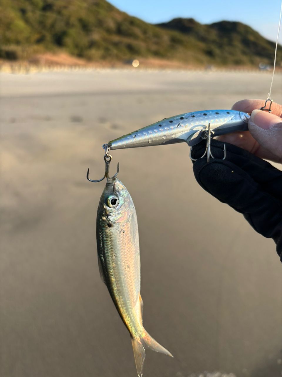 SHIMANO 22ネッサXR S110M/MHの最安値・インプレ・釣果 | 本音の口コミ